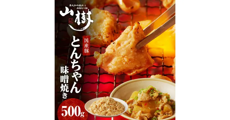 【ふるさと納税】山樹の国産とんちゃん味噌焼き（500g）