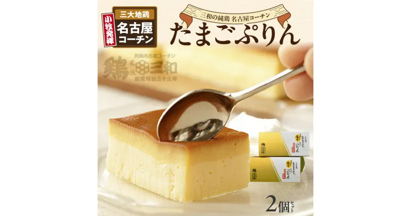 【ふるさと納税】プリン たまごプリン 200g × 2個 セット 三大地鶏 名古屋コーチン 三和の純鶏 卵 100%使用 濃厚 甘み 弾力 もっちり クセになる食感 まるでケーキ カラメル スイーツ デザート 洋菓子 お菓子 お取り寄せ グルメ 送料無料 愛知県 小牧市