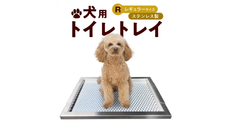 【ふるさと納税】トイレトレイ 犬用 ステンレス製 段付きタイプ レギュラーサイズ お手入れ簡単 ペット用品 トイレ用品 衛生的 耐久性抜群 いたずら防止 トイレトレーニング しつけ グッズ 掃除しやすい 愛知県 小牧 送料無料