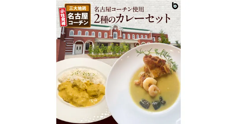 【ふるさと納税】名古屋コーチン 2種 カレー セット BRICK CAFE ブリックカフェ グリーンカレー バターチキンカレー スパイシー もも肉 地鶏 人気 カフェ 電子レンジOK ボイル カレーライス 簡単調理 お取り寄せグルメ 時短飯 愛知県 小牧市 送料無料