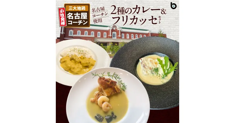 【ふるさと納税】名古屋コーチン 2種 カレー フリカッセ セット BRICK CAFE ブリックカフェ グリーンカレー バターチキンカレー スパイシー クリーム煮 もも肉 地鶏 人気 カフェ 電子レンジOK ボイル カレーライス 簡単調理 お取り寄せグルメ 時短飯 愛知県 小牧市 送料無料