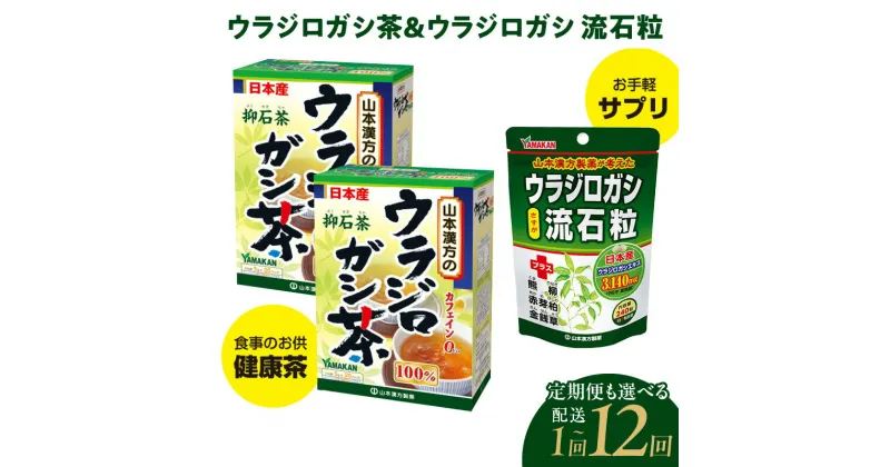 【ふるさと納税】お茶 抑石茶 流石茶 ウラジロガシ茶 ウラジロガシ流石粒 選べる 単品 定期便 山本漢方 国産 茶 ノンカフェイン 裏白樫 ブナ科 ドングリ 常緑高木 粒 石持ち 熊柳 赤芽柏 金銭草 サプリ 新習慣 ティーバック 飲料 お取り寄せ 愛知県 小牧市 送料無料