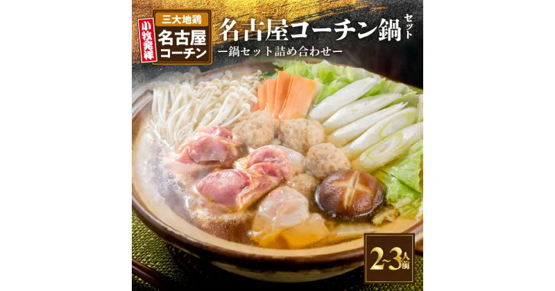 【ふるさと納税】名古屋コーチン鍋 セット 2 ～ 3人前 日本三大地鶏 地鶏 鶏 鶏肉 もも肉 肉団子 スープ 鍋 鶏鍋 スープ付き 食感 コク 旨み 料理 冷凍 お取り寄せ お取り寄せグルメ 食品 愛知県 小牧市 送料無料