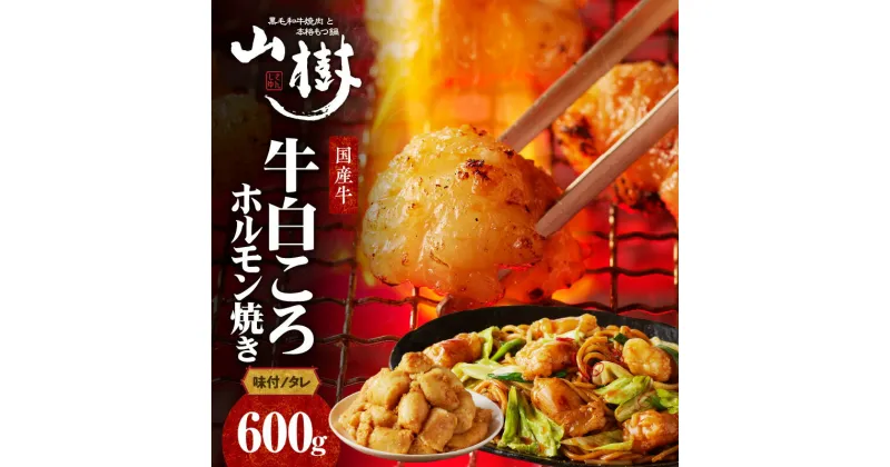 【ふるさと納税】山樹の国産牛白ころホルモン焼き（丸腸）味付 600g