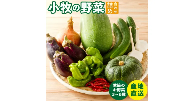 【ふるさと納税】ネオコスモ農園で採れた小牧の野菜詰め合わせ