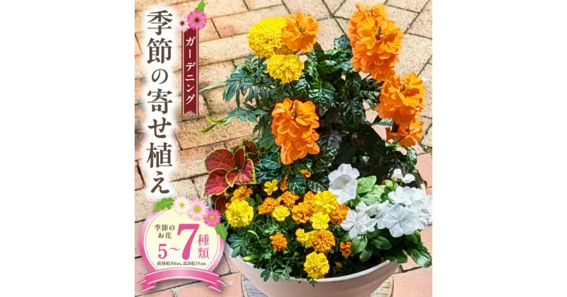 【ふるさと納税】ガーデニング 季節の寄せ植え