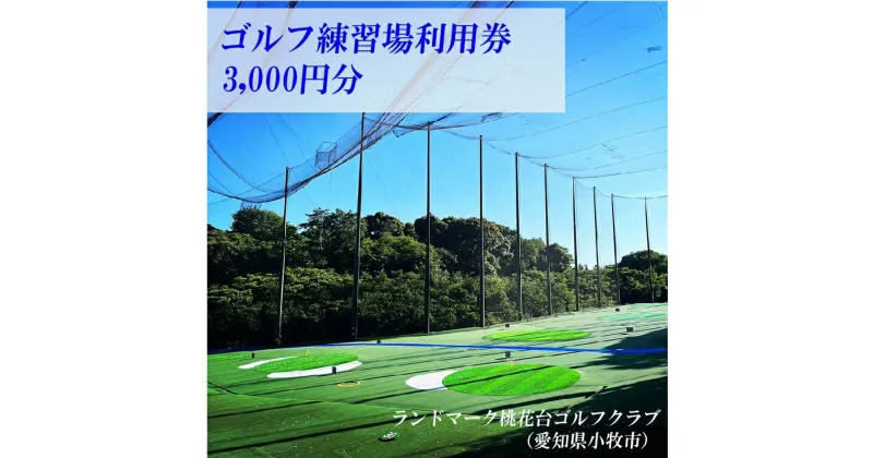 【ふるさと納税】ゴルフ練習場 利用券3,000円分