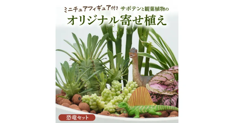 【ふるさと納税】サボテンと観葉植物のオリジナル寄せ植え【恐竜セット】