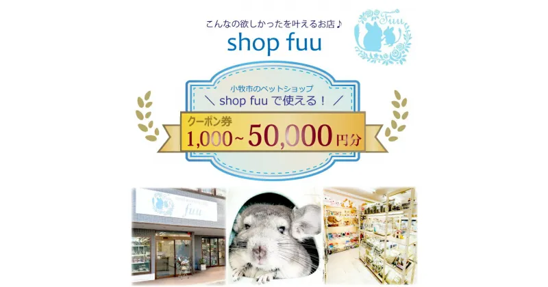 【ふるさと納税】shop fuuで使えるクーポン券 金額 選べる