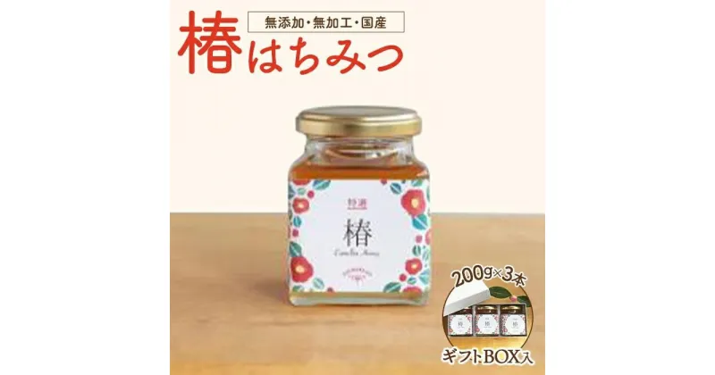 【ふるさと納税】椿農園で採れた椿はちみつ【200g×3本】ギフト箱入り | 愛知県 愛知 稲沢市 楽天ふるさと 納税 支援品 支援 故郷納税 らくてんふるさと納税 お取り寄せ 取り寄せ はちみつ ハチミツ 蜂蜜 国産はちみつ 国産蜂蜜 国産ハチミツ ギフト ご当地 特産品 国産