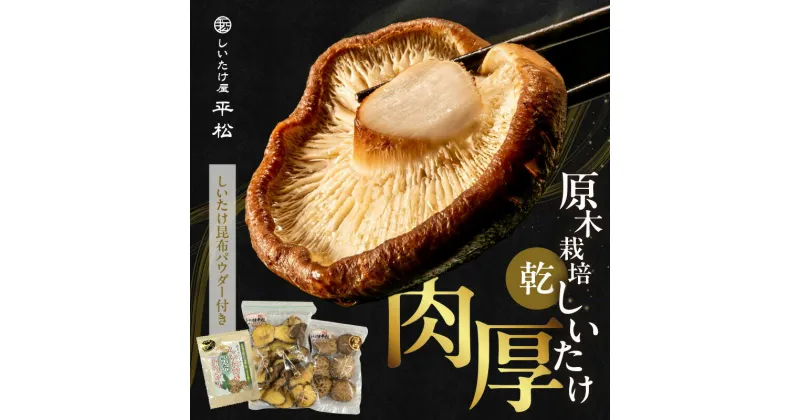 【ふるさと納税】愛知県 知多市産 原木乾椎茸 しいたけ昆布パウダー付【どんこ】 200g 肉厚 しいたけ 秋 旬 秋の味覚 香信しいたけ どんこしいたけ 原木露地栽培 無農薬 栽培 平松 干ししいたけ 昆布パウダー 旨味たっぷり 乾物 贈答品 希少 特産品 送料無料