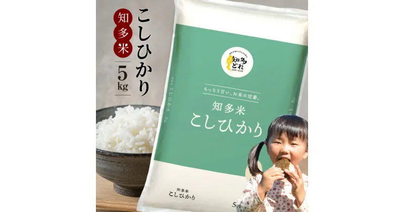 【ふるさと納税】知多米 こしひかり 【 5kg 】 米 白米 精米 コシヒカリ うるち米 秋 旬 お米 人気返礼品 国産 ブランド米 和食 新米 厳選 愛知県産 送料無料