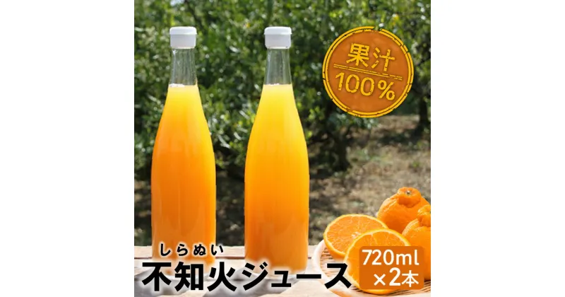 【ふるさと納税】知多市産不知火ジュース【 2本 】 果汁飲料 柑橘 ジュース ミカンジュース しらぬい 無添加 愛知県 特産品 送料無料