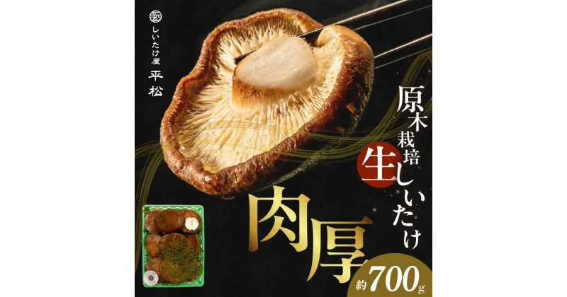 【ふるさと納税】愛知県 知多市産 原木生椎茸【どんこ】約 700g 生しいたけ 希少 肉厚 しいたけ 秋 旬 秋の味覚 香信しいたけ どんこしいたけ 原木露地栽培 無農薬 栽培 平松 贈答品 希少 特産品 送料無料