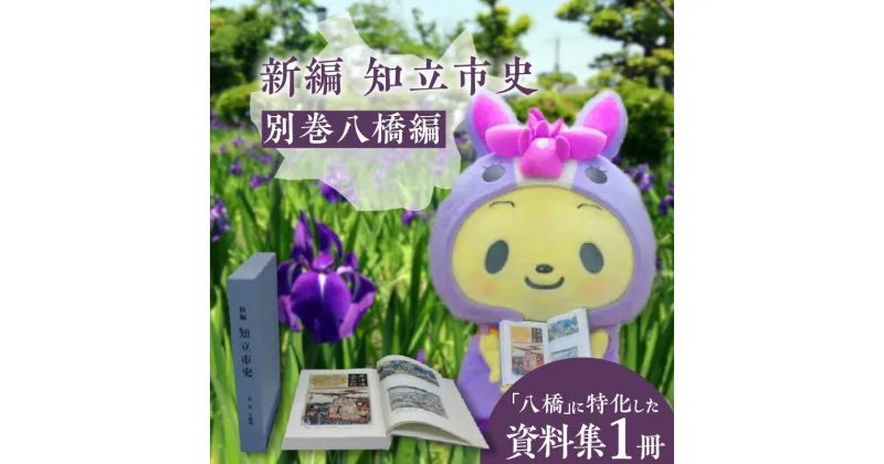 【ふるさと納税】 新編知立市史 【別巻八橋編】 八橋 歴史 伊勢物語 方巌売茶 文学作品 知立市の歴史 学問 歴女 浮世絵 屏風 資料集 送料無料