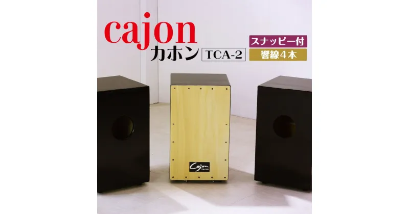 【ふるさと納税】 カホン 【 スナッピー付 ・ 響線4本 】【TCA-2】 楽器 打楽器 パーカッション cajon 箱 フラメンコ 音楽 サウンド 木製 ミュージック 送料無料