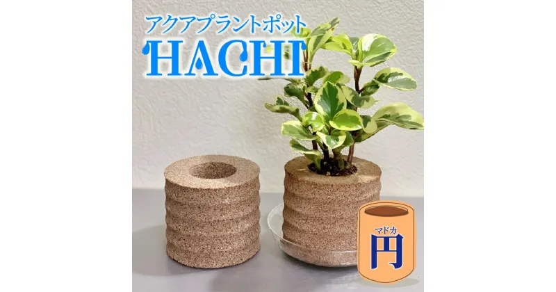 【ふるさと納税】アクアプラントポットHACHI「円(マドカ)」【3色からお選びください】