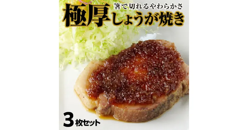 【ふるさと納税】しょうが焼き 600g (200g×3枚) 3枚セット 肩ロース 極厚 特製だれ 生姜焼き オリジナル 低温調理 ポーク 豚肉 お肉 おかず 簡単調理 惣菜 人気 冷凍 食品 おすすめ グルメ お取り寄せ お取り寄せグルメ 送料無料