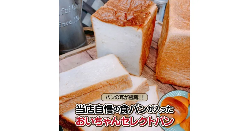 【ふるさと納税】パン セレクトパン バラエティ セット 極薄耳 食パン レーズンパン カボチャパン 牛乳パン ショコラ カマンベール デニッシュ アマンドクロワッサン モンブラン アップル ショコラ 詰め合わせ おやつ お取り寄せ 冷凍 愛知県 高浜市 送料無料