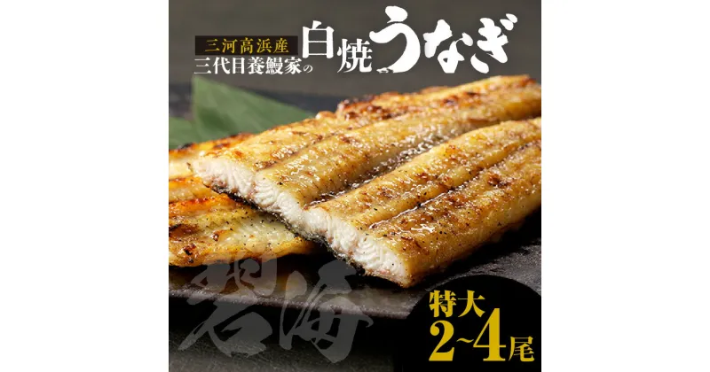 【ふるさと納税】三河高浜産三代目 養鰻家 の白焼きうなぎ【特大】【選べる尾数】 タレ付 鰻 マツコの知らない世界 秋 旬 愛知県産 白焼き 特大うなぎ 国産 タレ うなぎ グルメ 養殖 肉厚 お祝い 丑の日 おいしい 食べ物 プレゼント ご馳走 高級 贈り物 魚介類 送料無料