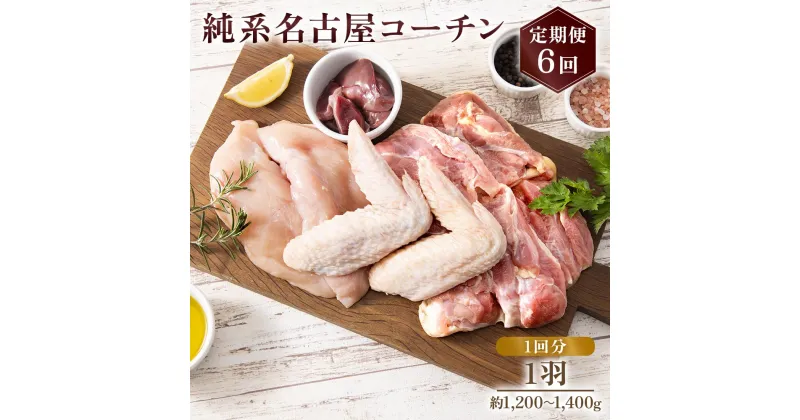 【ふるさと納税】純系名古屋コーチン 定期便 (1羽×6回)｜コーチン 鶏肉 鳥肉 とり肉 塊肉 定期便【0606】