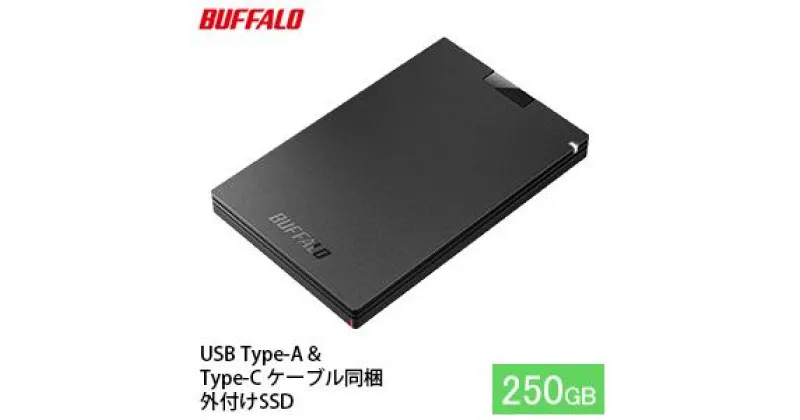 【ふるさと納税】BUFFALO バッファロー ポータブル SSD 250GB TypeA & TypeC USB 電化製品 家電 パソコン PC周辺機器 パソコン周辺機器　 日進市