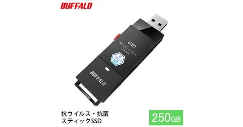 【ふるさと納税】BUFFALO バッファロー スティック型 SSD 250GB 抗ウイルス・抗菌 テレビ 録画 USB 電化製品 家電 パソコン PC周辺機器 パソコン周辺機器　 日進市