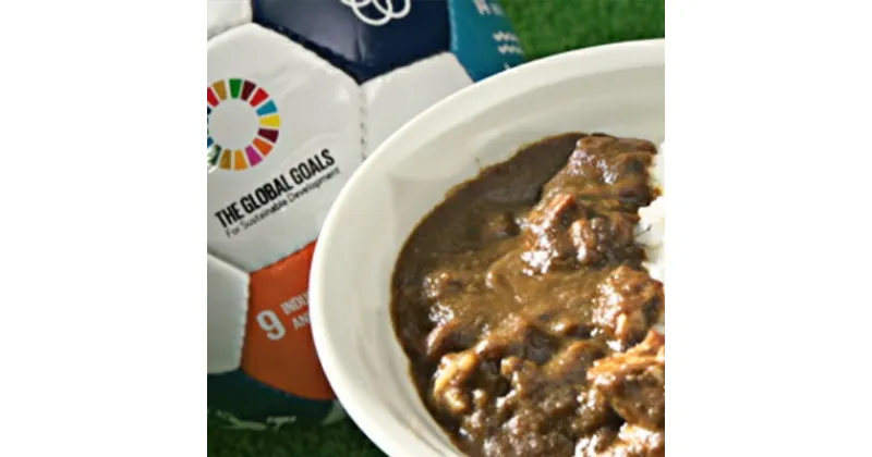 【ふるさと納税】地域共創！『スポーツSDGsカレー』(200g/個×3)　お肉 鶏肉 加工食品 惣菜 野菜 野菜カレー レトルト フードロス 鶏むね肉