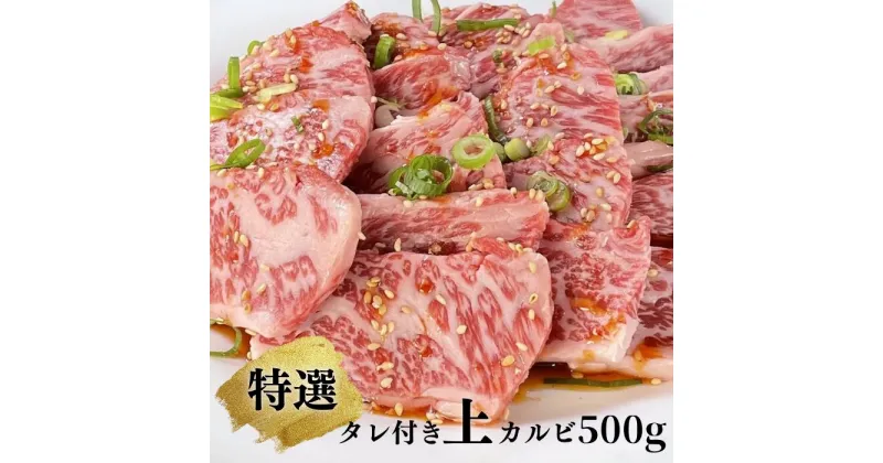 【ふるさと納税】【ブランド牛】田原牛 タレ付き 特選 上カルビ 500g 牛肉 愛知県 お取り寄せ 特産 ご当地 グルメ おうち時間 焼肉 国産 霜降り ふるさと納税 カルビ 肉 冷凍 贅沢 和食 祝 送料無料