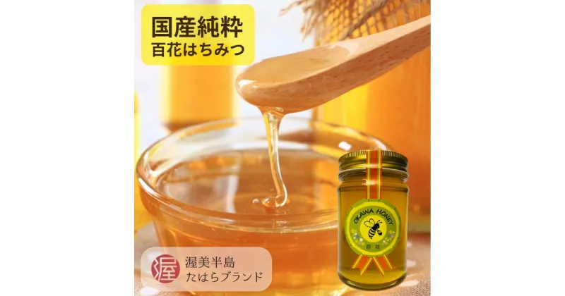 【ふるさと納税】OKAWA HONEY 渥美半島産純粋百花はちみつ 蜂蜜 ハチミツ はちみつ お取り寄せ ご当地 グルメ 取り寄せ グルメ お土産 土産 純粋はちみつ ハニー 純粋ハチミツ 蜂 国産はちみつ 国産ハチミツ 産地直送 健康 送料無料