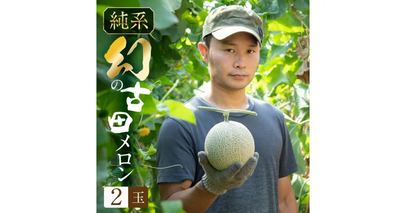 【ふるさと納税】＼先行予約／ 古田メロン 2玉 石井農園 2025年7月上旬発送開始 稀少な品種 純系 メロン 純系 箱詰め メロン めろん フルーツ 果物 お取り寄せ 渥美半島 産地直送 幻 希少品 田原市 送料無料 高糖度