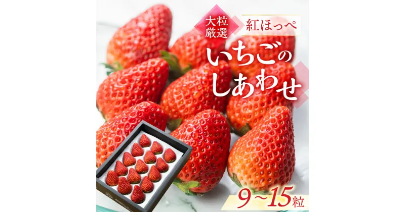 【ふるさと納税】≪先行予約≫ 愛知県・田原産 ブランドいちご『いちごのしあわせ』約9粒～15粒 2025年1月～発送開始 大粒 激甘 イチゴ 激甘 いちご 激甘 苺 果物 激甘 くだもの 激甘 フルーツ ブランド 贅沢品 激甘 贈答品 激甘 お取り寄せ田原市 産地直送 送料無料