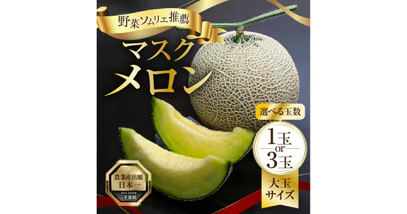 【ふるさと納税】先行予約 マスクメロン 選べる玉数 1玉 3玉 大玉 サイズ 発送時期が選べる カラーギフト箱入り メロン 秀品 フルーツ 【2024年6月下旬～8月上旬発送】 くだもの 野菜ソムリエ推薦 渥美半島 フルーツ 田原市 ギフト プレゼント メロン