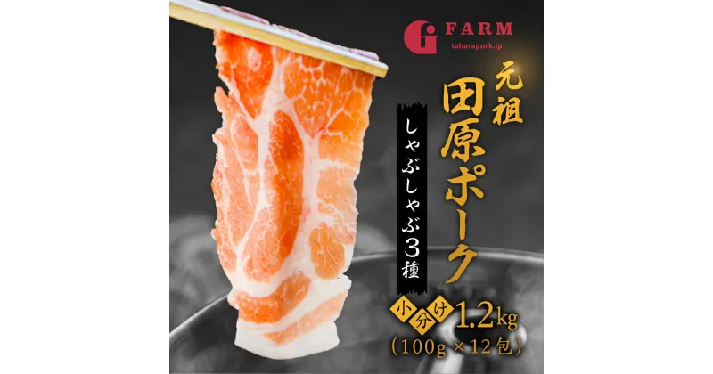 【ふるさと納税】 国産 豚肉 食べ比べ 400g × 3 計 1.2kg 小分け 100g しゃぶしゃぶ用 ロース 肩ロース バラ　 冷凍 田原ポーク 個包装 スライス 薄切り 豚しゃぶ ギフト 定期便 Gファーム