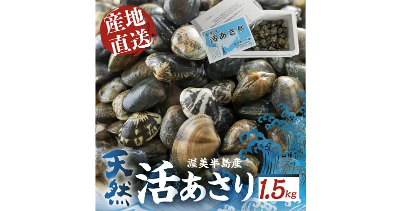 【ふるさと納税】旬の渥美産 天然 活あさり 1.5kg 先行予約 あさり 国産 アサリ 採れたて 砂抜き 海鮮 魚介類 魚介 貝 送料無料 サイズ 不揃い 訳あり 産地直送 田原市 海産物 愛知県