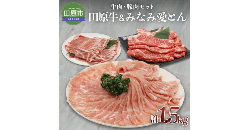 【ふるさと納税】田原牛 みなみ愛とん 牛肉豚肉セット 牛肉 ビーフ 豚肉 ポーク ロース 肩ロース お取り寄せ 食べ比べ 牛 豚 特産 ご当地 グルメ おうち時間 国産 霜降り ふるさと納税 肉 冷凍 贅沢 和食 洋食 祝 田原市 送料無料