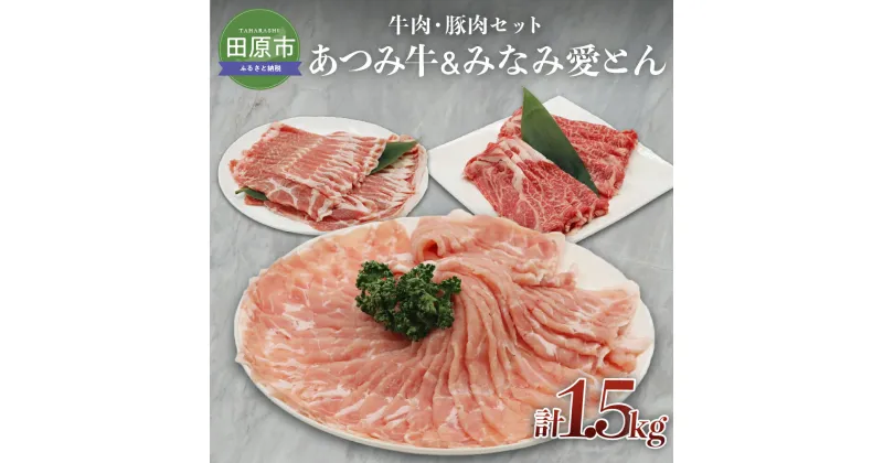 【ふるさと納税】あつみ牛 みなみ愛とん 牛肉豚肉セット 牛肉 ビーフ 豚肉 ポーク ロース 肩ロース お取り寄せ 食べ比べ 牛 豚 特産 ご当地 グルメ おうち時間 国産 霜降り ふるさと納税 肉 冷凍 贅沢 和食 洋食 祝 田原市 送料無料