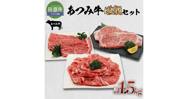 【ふるさと納税】あつみ牛 堪能セット 牛ロース ステーキ250g×2 しゃぶしゃぶ用 500g すき焼き用 500g 牛肉 ビーフ 肩ロース ステーキ しゃぶしゃぶ お取り寄せ 牛 特産 ご当地 グルメ 国産 霜降り ふるさと納税 肉 冷凍 贅沢 和食 洋食 祝 田原市 送料無料