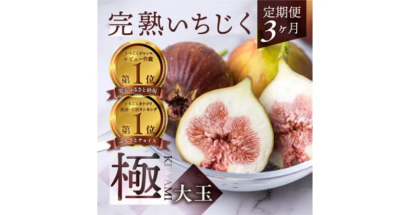 【ふるさと納税】 先行予約 定期便 3カ月 完熟 いちじく ［極］大玉 9-12玉 果物 無花果 イチジク くだもの フルーツ 贅沢品 贈答品 高級品 ブランド お取り寄せ 産地直送 田原市