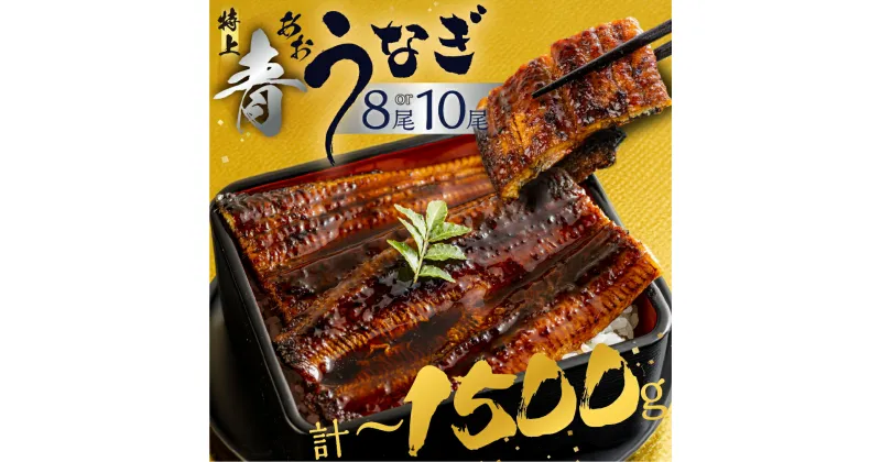 【ふるさと納税】幻の青うなぎ 蒲焼 発送時期が選べる 8尾 10尾 1200g ~ 1500g 青鰻 鰻 蒲焼き 最高級 長蒲焼 特大サイズ 土用丑の日 先行予約 うなぎ ひつまぶし 冷凍 惣菜 unagi ランキング 送料無料 ギフト 父の日