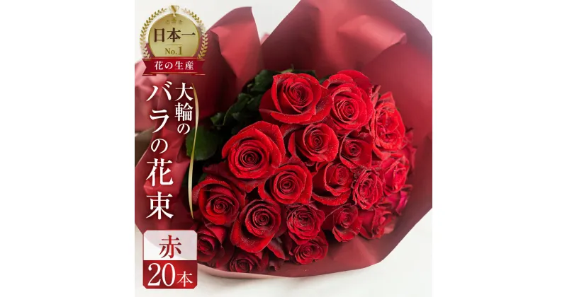 【ふるさと納税】バラ 花束 大輪 赤 20本 (40cm) ブーケ 薔薇 ローズ 生花 日時指定可 観賞用 母の日 プレゼント 花 ギフト 誕生日 植物 フラワー 母の日 遅れてごめんね 敬老の日 バラの花束 土壌栽培 産地直送 田原市 人気 切り花 切花