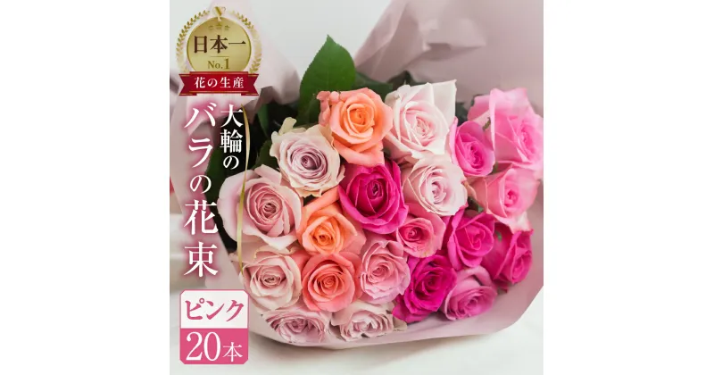 【ふるさと納税】バラ 花束 大輪 ピンク 20本 (40cm) ピンクミックス ブーケ 薔薇 ローズ 生花 日時指定可 母の日 遅れてごめんね 観賞用 プレゼント 花 ギフト 誕生日 植物 フラワー 土壌栽培 産地直送 田原市 人気 切り花 切花