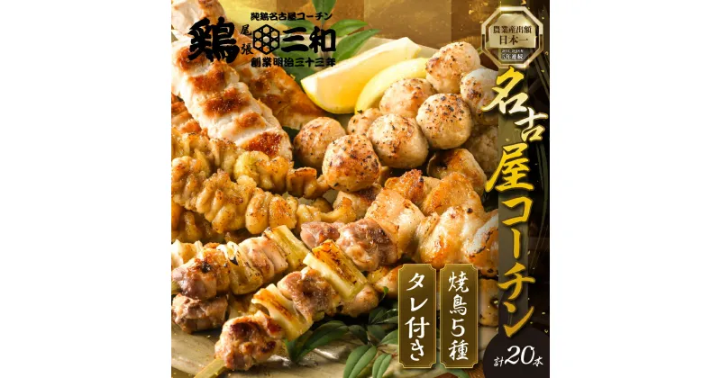 【ふるさと納税】高評価 ☆4.8 鶏三和 焼き鳥 串 5種 20本 名古屋コーチン たれ付き （ももねぎま・ささみ・ぼんじり・皮 / つくね串）各4本 地鶏 焼鳥 鶏肉 肉 おつまみ やきとり さんわ 渥美半島 田原市 人気 小分け 炭火焼き にも