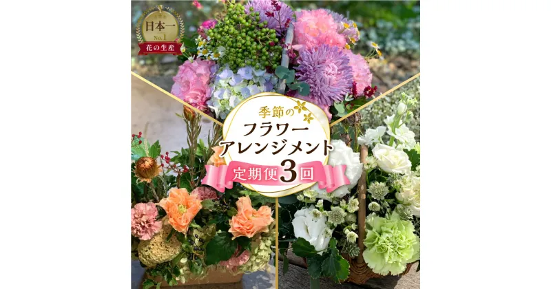 【ふるさと納税】 定期便 3回 季節のお花を使った フラワーアレンジメント 花 かご付き 生花 お任せ ギフト プレゼント 飾り 愛知県 田原市 渥美半島