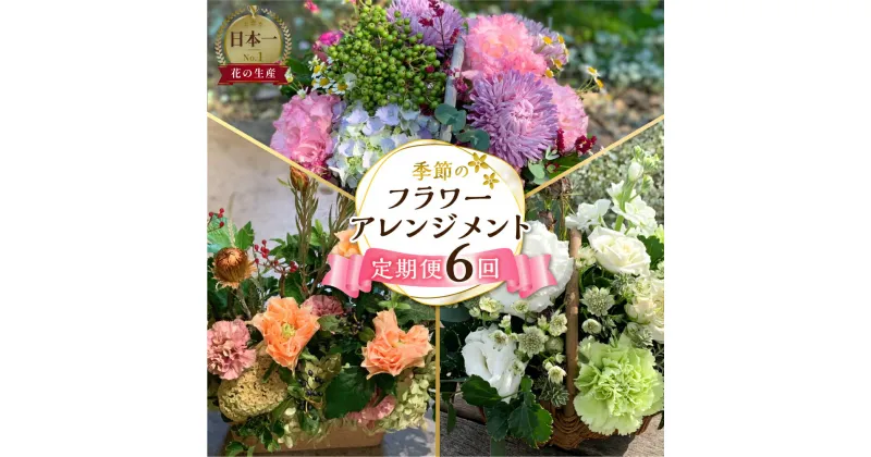 【ふるさと納税】 定期便 6回 季節のお花を使った フラワーアレンジメント 花 かご付き 生花 お任せ ギフト プレゼント 飾り 愛知県 田原市 渥美半島