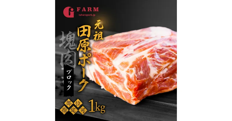 【ふるさと納税】《部位選べる》国産 豚肉 ブロック 1kg ロース バラ 肩ロース 田原ポーク 発送時期が選べる 塊肉 チャーシュー 贈り物 ギフト お取り寄せ お取り寄せグルメ 食品 送料無料 産地直送 冷凍 Gファーム