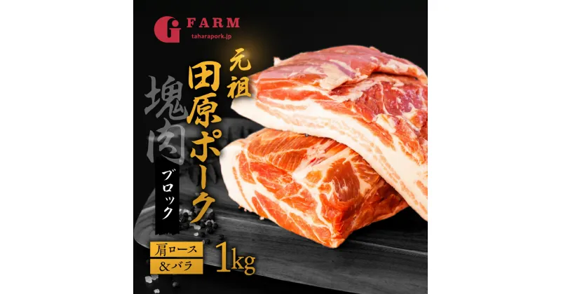 【ふるさと納税】国産 豚肉 ブロック 肩ロース・バラ 食べ比べ 1kg×2 計2kg 田原ポーク 塊肉 チャーシュー 贈り物 ギフト お取り寄せ お取り寄せグルメ 食品 送料無料 産地直送 冷凍 Gファーム