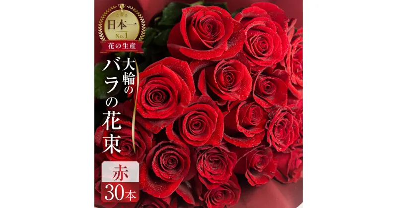 【ふるさと納税】バラ 花束 大輪 赤 30本 (40cm) ブーケ 薔薇 ローズ 生花 日時指定可 観賞用 プレゼント 花 ギフト 母の日 遅れてごめんね 誕生日 植物 フラワー 土壌栽培 産地直送 田原市 人気 切り花 切花