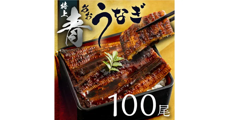 【ふるさと納税】 幻の青うなぎ 訳あり 蒲焼 100尾 15kg15000g タレ付き 山椒付き 厳選 大容量 簡易包装 青鰻 うなぎ ウナギ 鰻 蒲焼き うなぎ 最高級 ひつまぶし うなぎ 土用丑の日 ギフト うなぎ 冷凍 丑の日 うなぎ 簡単調理 お取り寄せ 不揃い unagi 送料無料 田原市