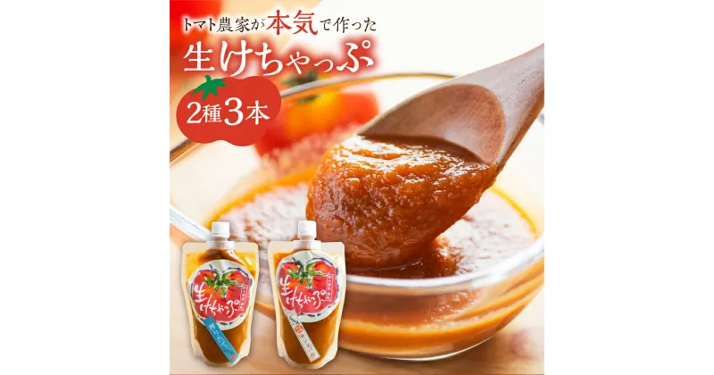 【ふるさと納税】生けちゃっぷ 2種 3本セット ケチャップ 調味料 とまと トマト 素材 こだわり